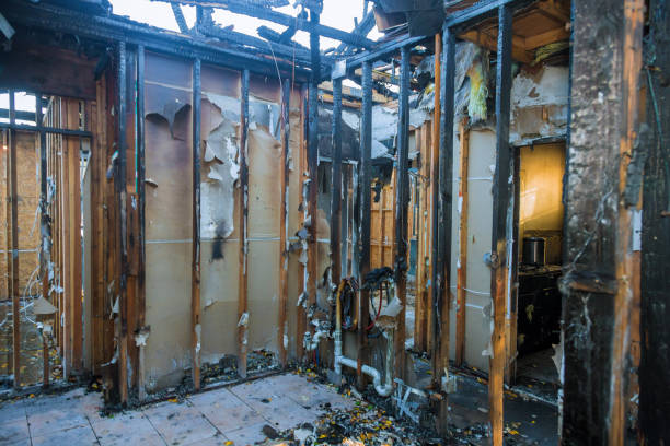 Professional Soot Removal technician working in Burlington, KY
